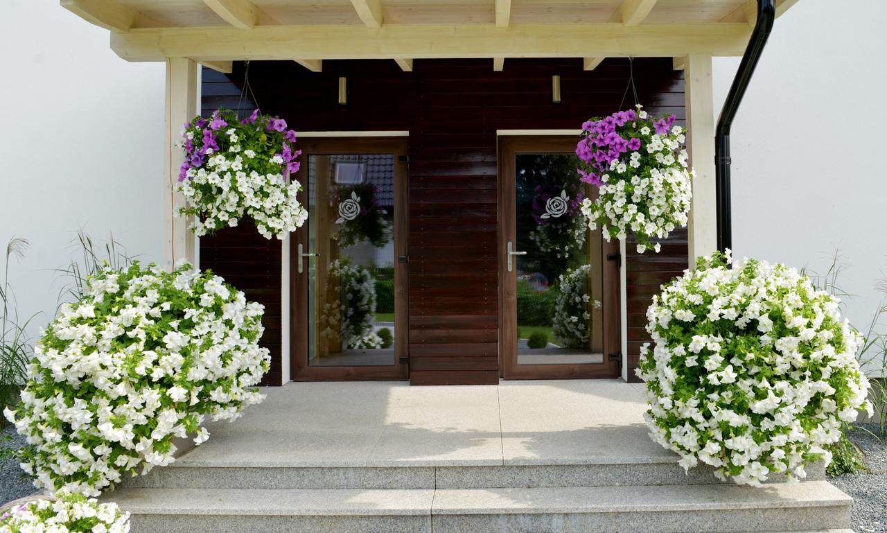 Apartamenty U Harrego II Przy Stawie Spa Klimatyzacja,Balkon,Sauna , Balia, Ogrod,Parking Kudowa-Zdrój Εξωτερικό φωτογραφία